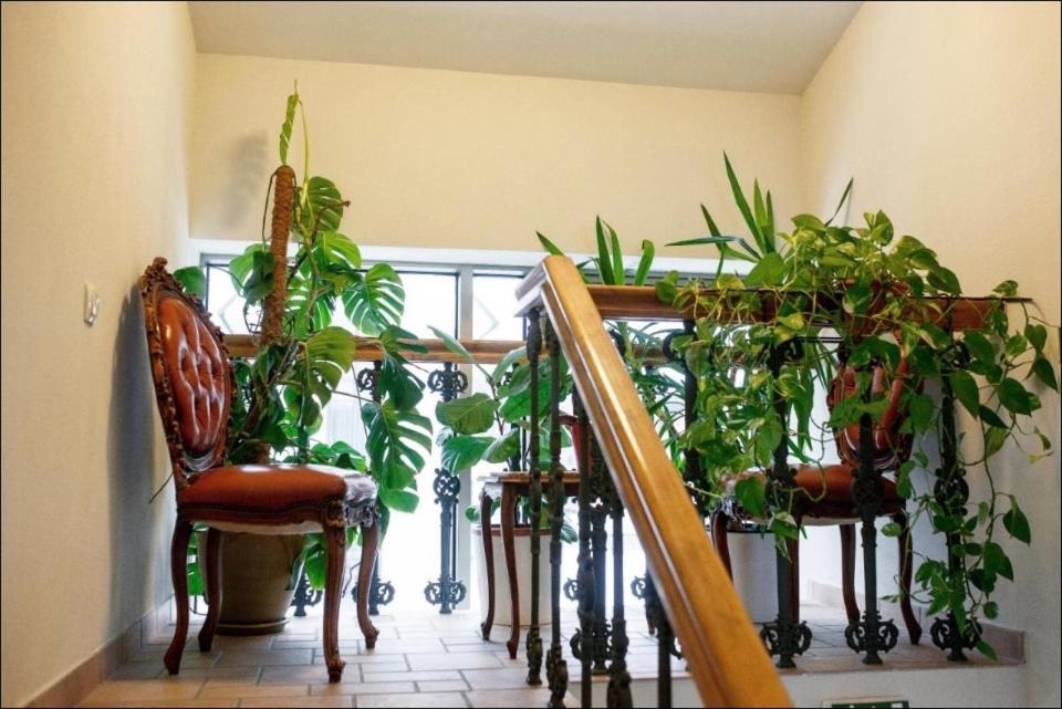 كلابيدا Apartment Senamiescio Inkaras المظهر الخارجي الصورة